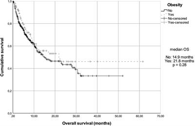 Body mass index and immune checkpoint inhibitor efficacy in metastatic cancer patients: A Brazilian retrospective study
